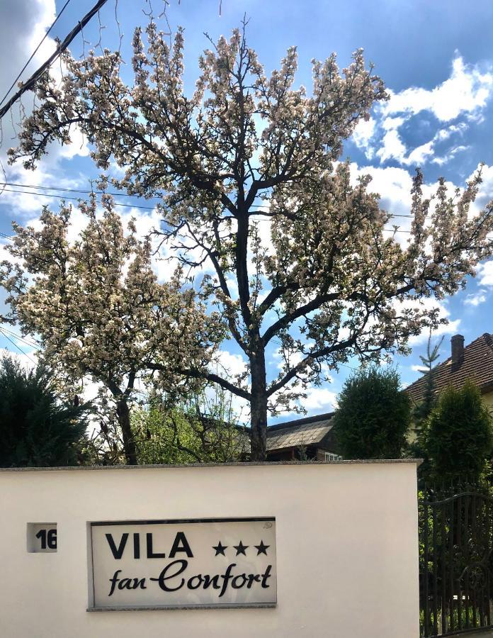 Vila Confort Vişeu de Sus Exterior foto