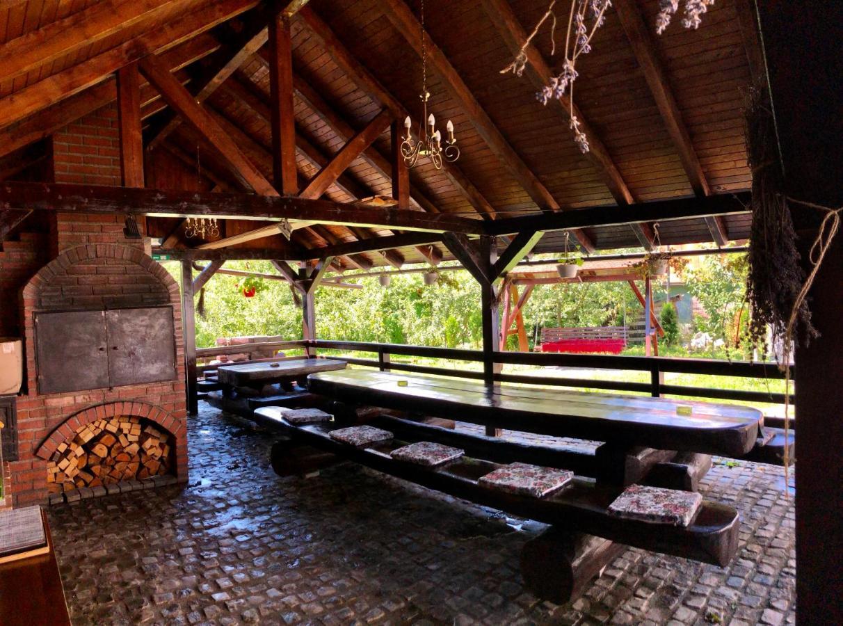 Vila Confort Vişeu de Sus Exterior foto