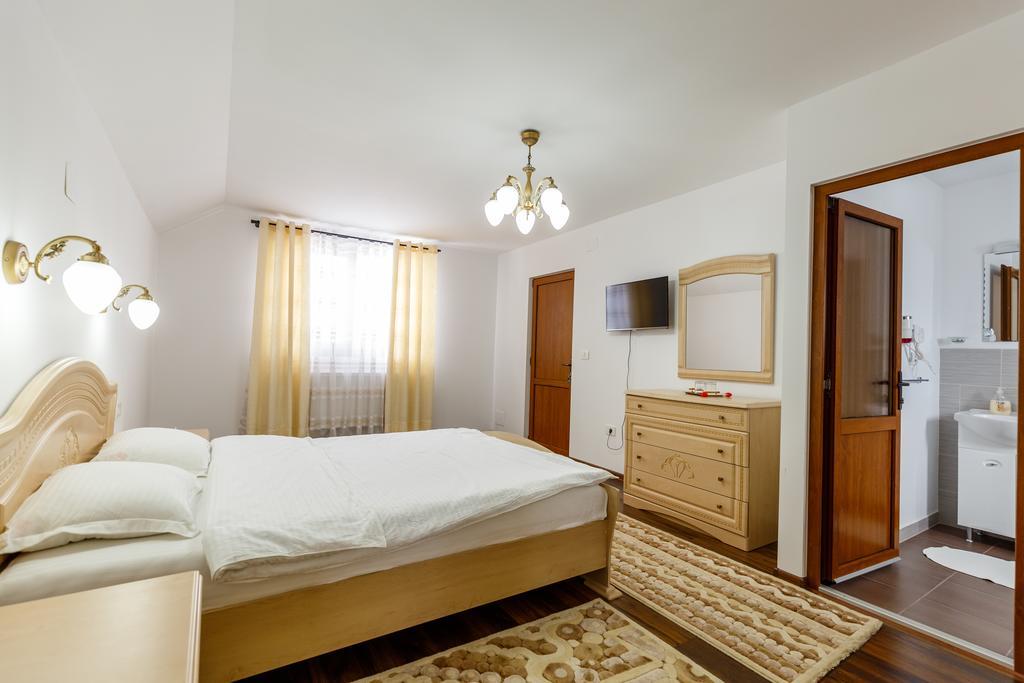 Vila Confort Vişeu de Sus Exterior foto