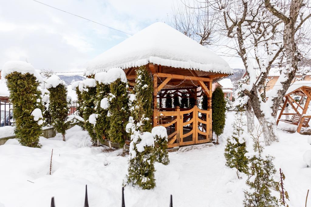 Vila Confort Vişeu de Sus Exterior foto