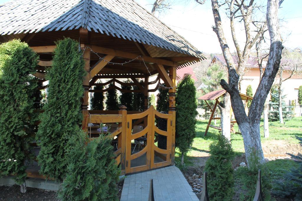 Vila Confort Vişeu de Sus Exterior foto