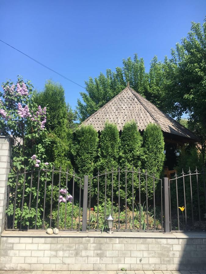 Vila Confort Vişeu de Sus Exterior foto