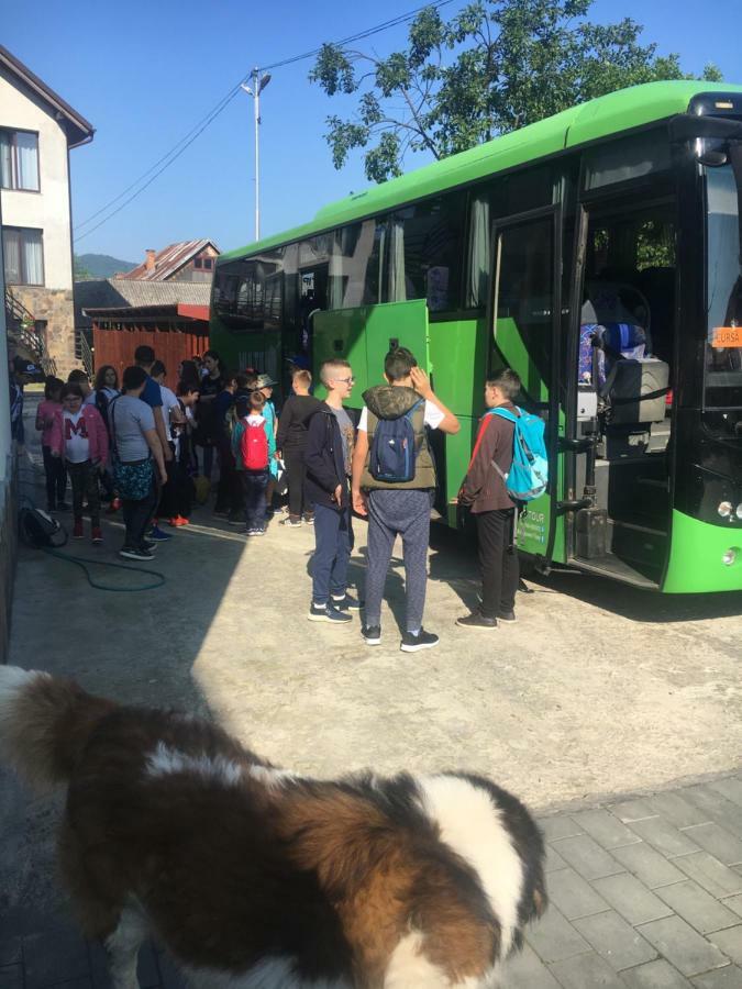 Vila Confort Vişeu de Sus Exterior foto