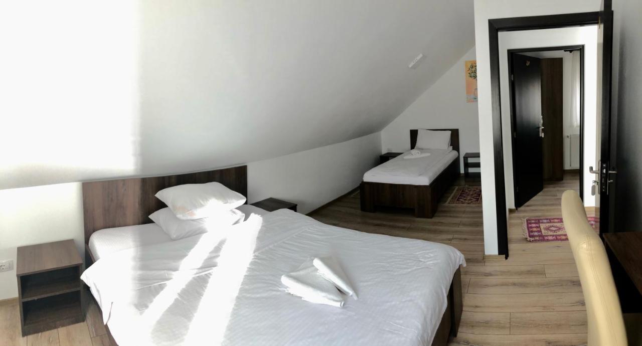 Vila Confort Vişeu de Sus Exterior foto